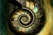 Nautilus-8